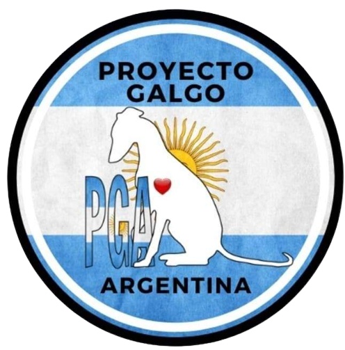 Proyecto Galgo Argentina